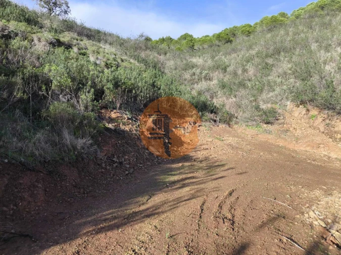 Terreno para Venda em Azinhal Foto 29