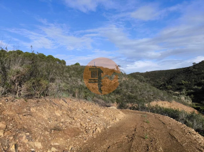 Terreno para Venda em Azinhal Foto 30