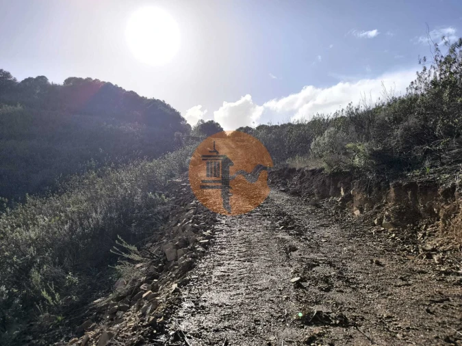 Terreno para Venda em Azinhal Foto 32