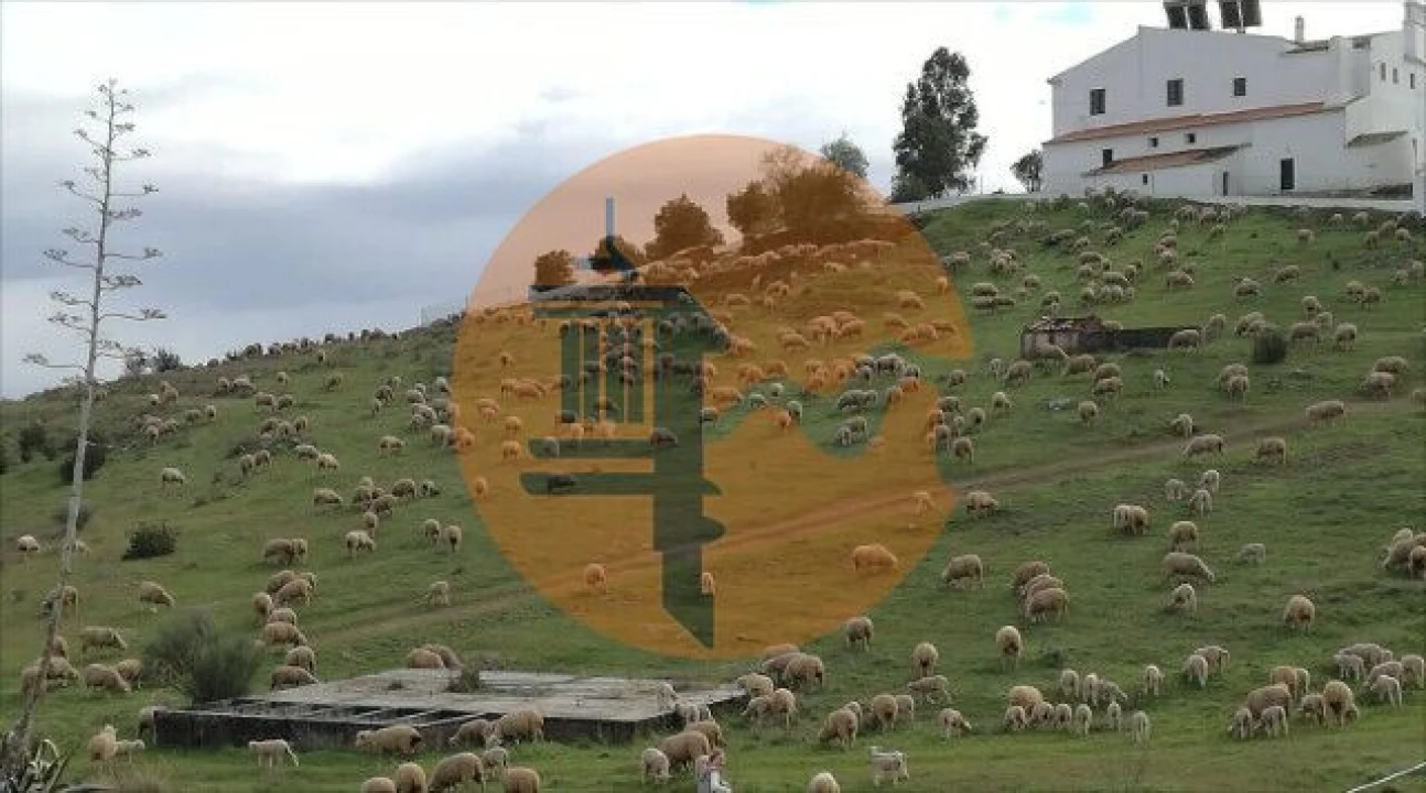 Moradia T2 para Venda em São João dos Caldeireiros Foto 3