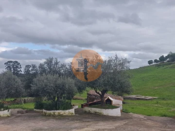 Moradia T2 para Venda em São João dos Caldeireiros