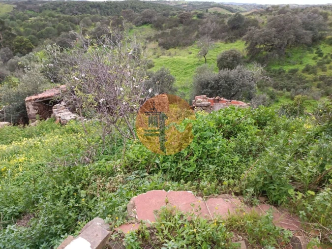 Moradia T3 para Venda em Azinhal Foto 32