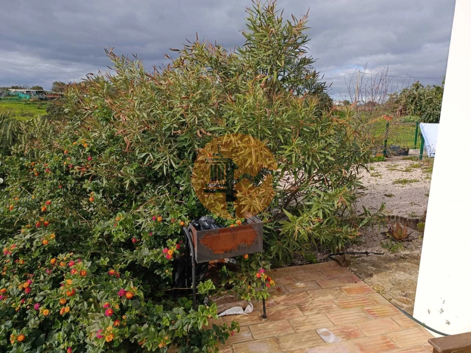 Negócio para Venda em Azinhal Foto 14