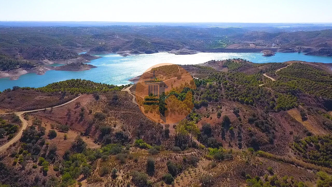 Negócio para Venda em Azinhal Foto 34