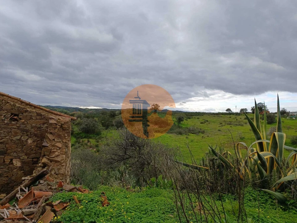 Negócio para Venda em Azinhal Foto 42