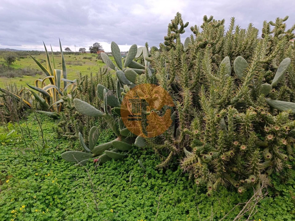 Negócio para Venda em Azinhal Foto 49
