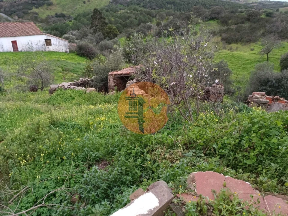 Negócio para Venda em Azinhal Foto 71