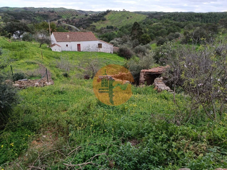 Negócio para Venda em Azinhal Foto 74