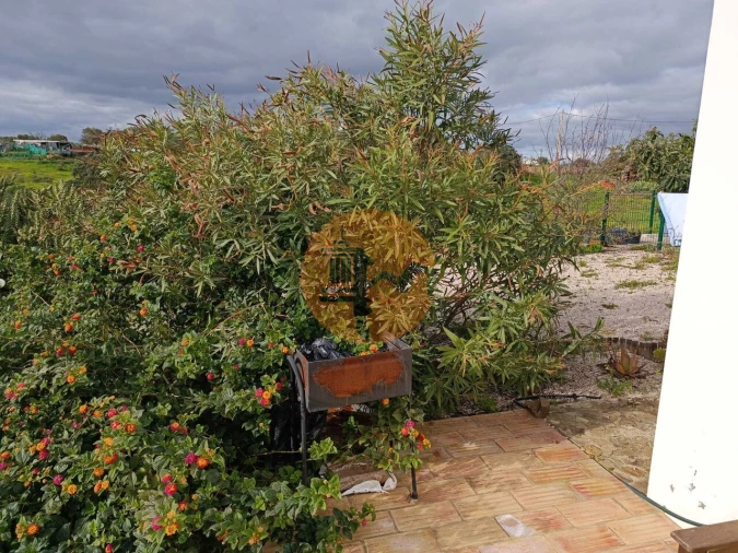 Negócio para Venda em Azinhal Foto 14