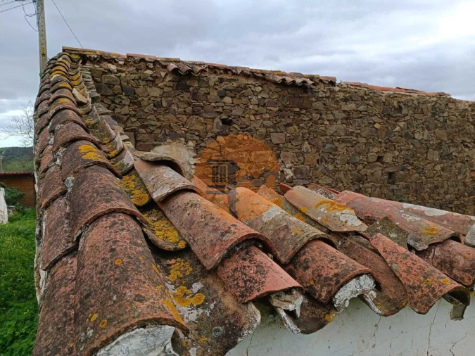 Negócio para Venda em Azinhal Foto 48