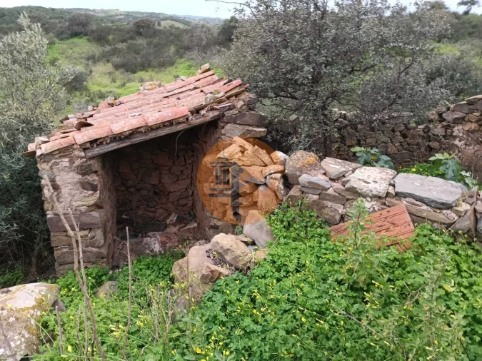 Negócio para Venda em Azinhal Foto 66