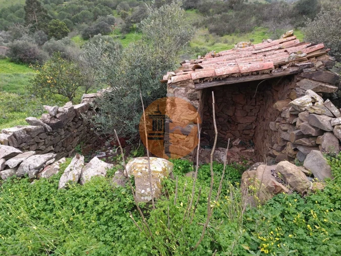 Negócio para Venda em Azinhal Foto 67