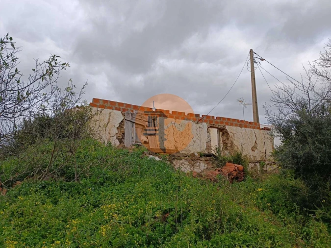 Negócio para Venda em Azinhal Foto 72