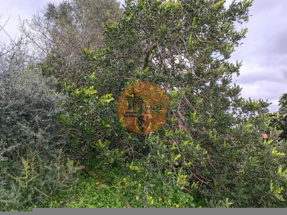 Moradia T3 para Venda em Azinhal Foto 64