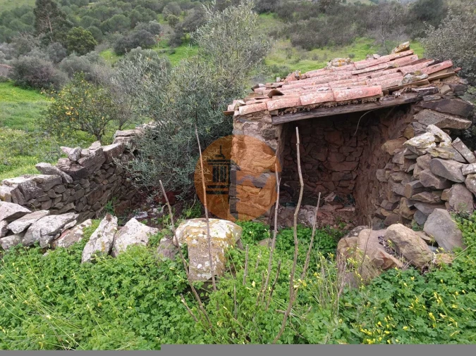 Moradia T3 para Venda em Azinhal Foto 67