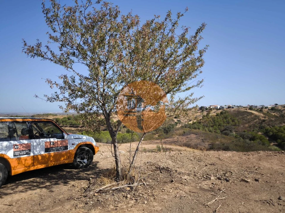 Terreno para Venda em Azinhal Foto 15