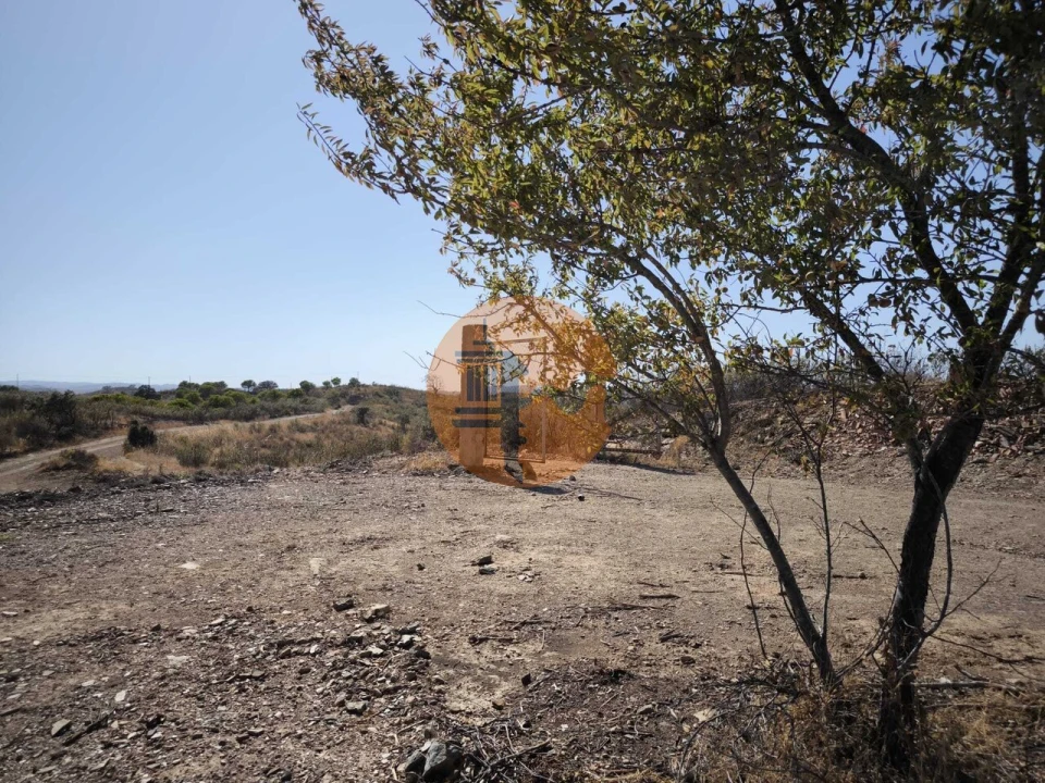Terreno para Venda em Azinhal Foto 27