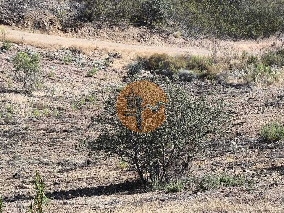 Terreno para Venda em Azinhal Foto 29
