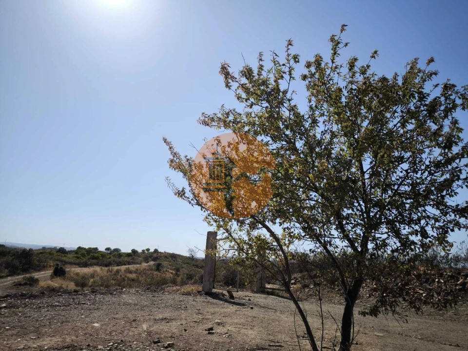 Terreno para Venda em Azinhal Foto 6