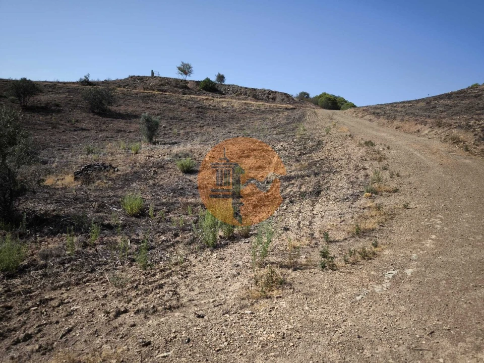 Terreno para Venda em Azinhal Foto 42