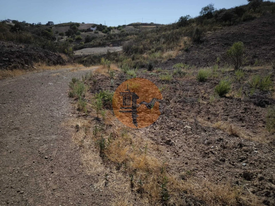 Terreno para Venda em Azinhal Foto 45
