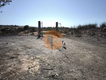 Terreno para Venda em Azinhal