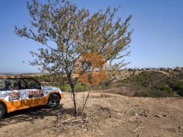 Terreno para Venda em Azinhal