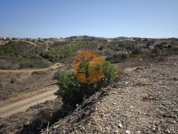 Terreno para Venda em Azinhal