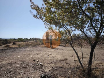 Terreno para Venda em Azinhal