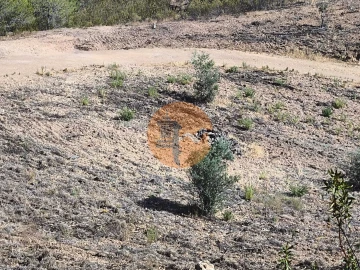 Terreno para Venda em Azinhal