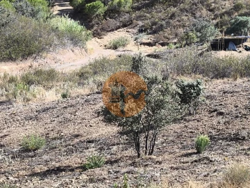 Terreno para Venda em Azinhal