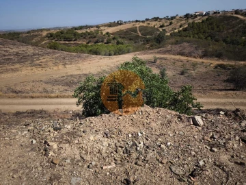 Terreno para Venda em Azinhal