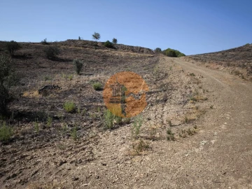 Terreno para Venda em Azinhal
