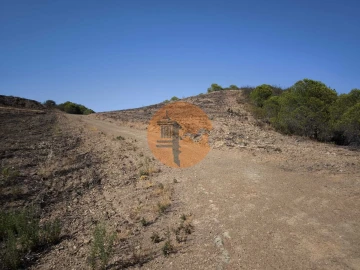 Terreno para Venda em Azinhal