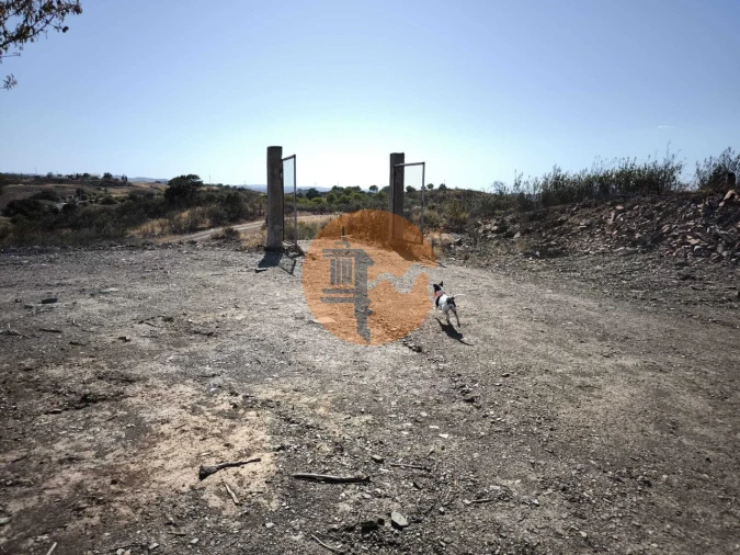 Terreno para Venda em Azinhal Foto 12