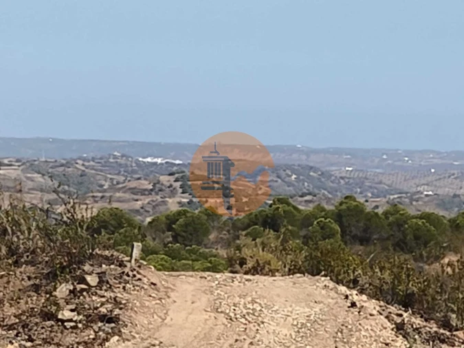Terreno para Venda em Azinhal Foto 13