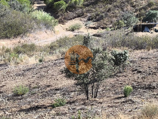 Terreno para Venda em Azinhal Foto 32