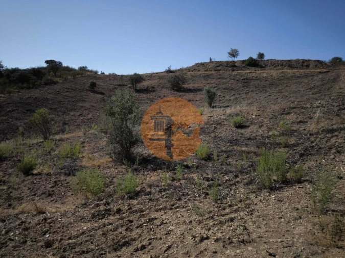 Terreno para Venda em Azinhal Foto 41
