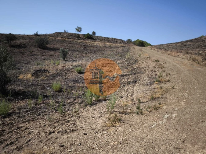 Terreno para Venda em Azinhal Foto 42