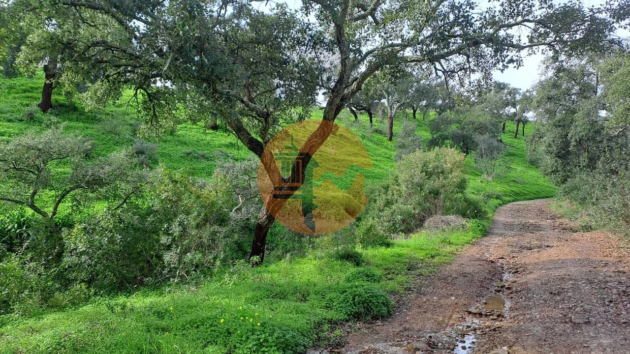 Terreno para Venda em Santa Catarina da Fonte do Bispo Foto 5