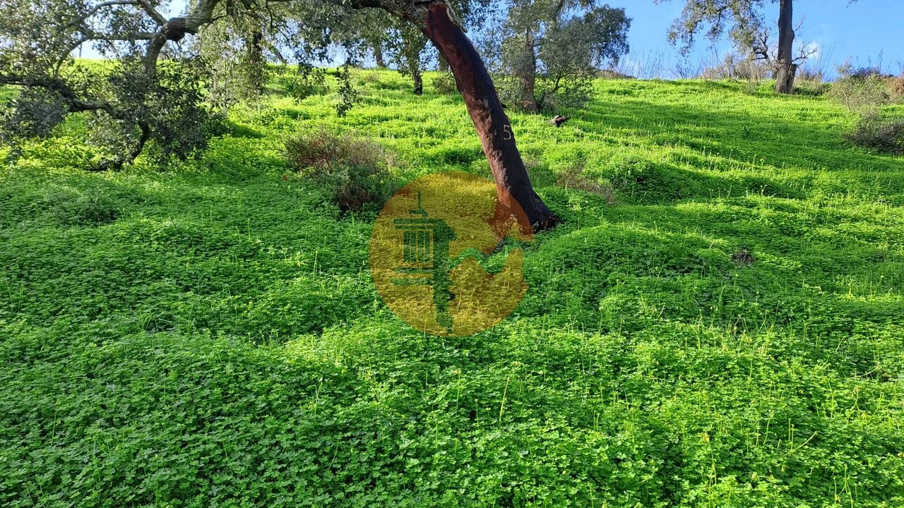 Terreno para Venda em Santa Catarina da Fonte do Bispo Foto 12