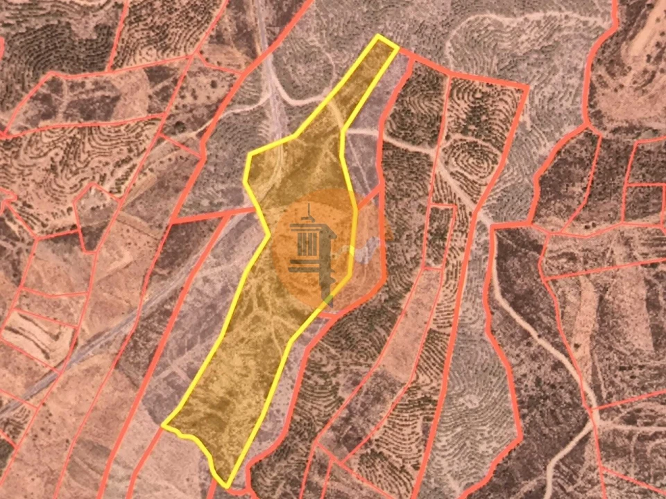 Terreno para Venda em Azinhal Foto 2