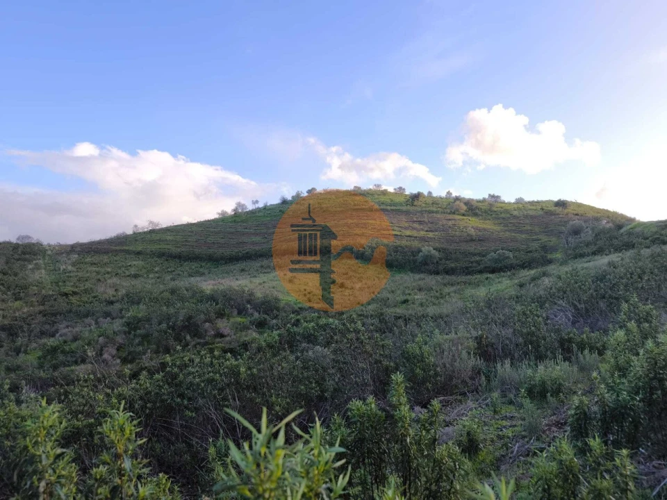 Terreno para Venda em Azinhal Foto 9