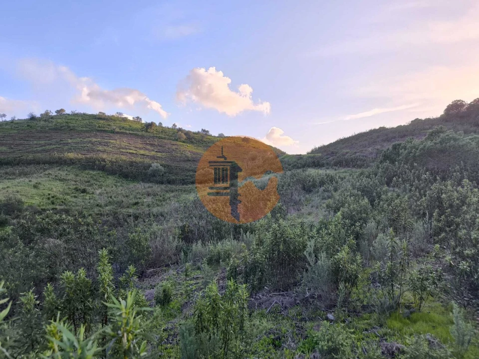 Terreno para Venda em Azinhal Foto 14