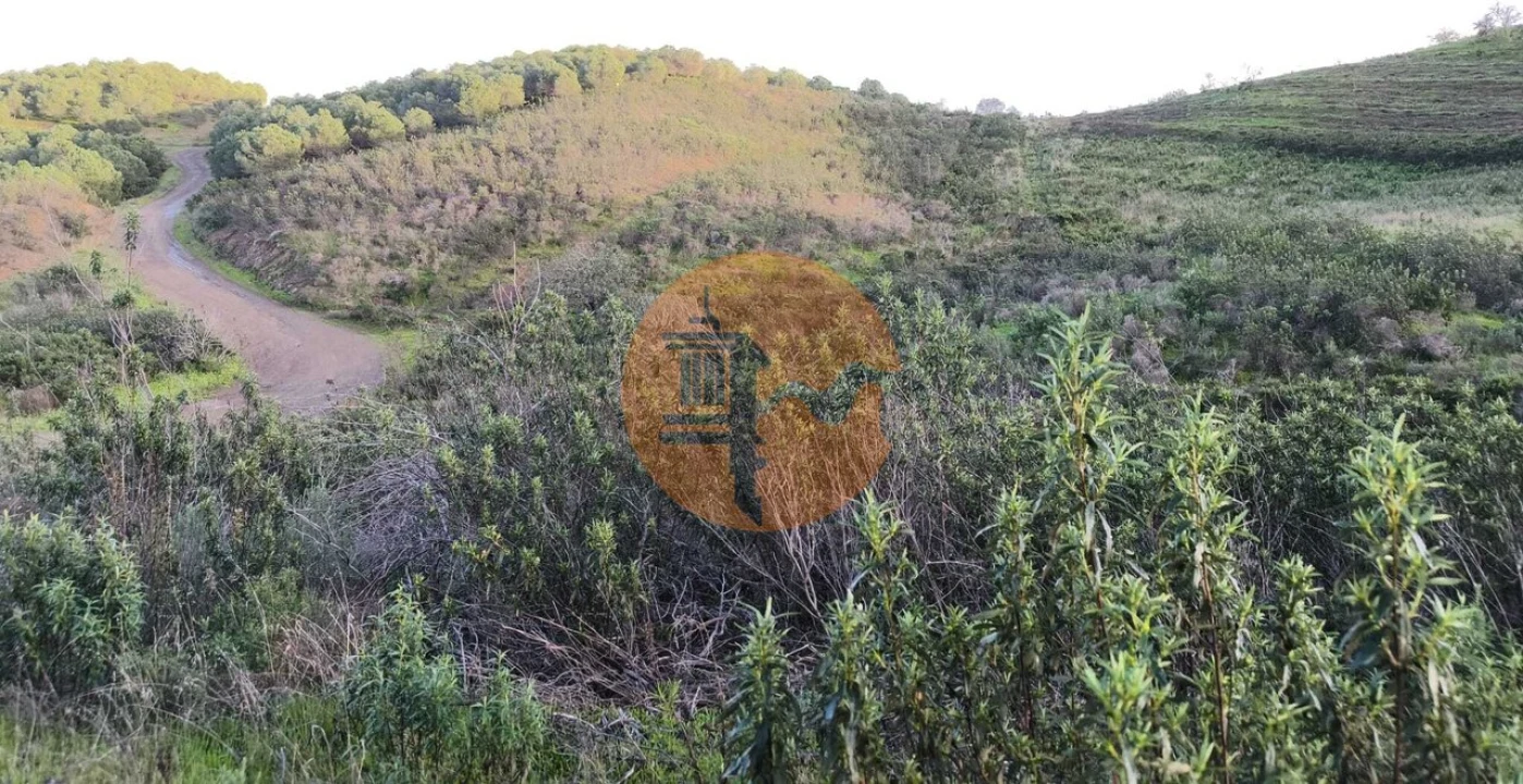 Terreno para Venda em Azinhal Foto 12