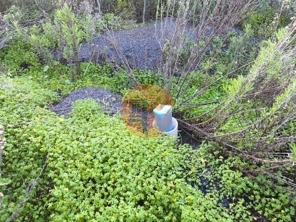 Terreno para Venda em Azinhal Foto 33