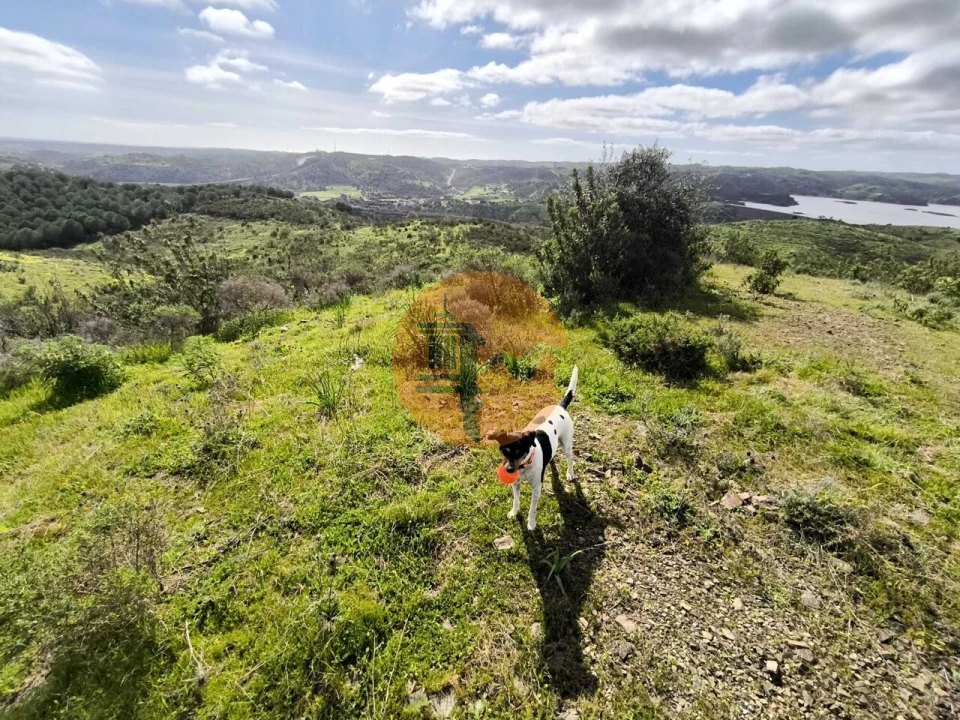 Terreno para Venda em Azinhal Foto 5