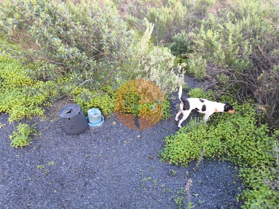 Terreno para Venda em Azinhal Foto 28