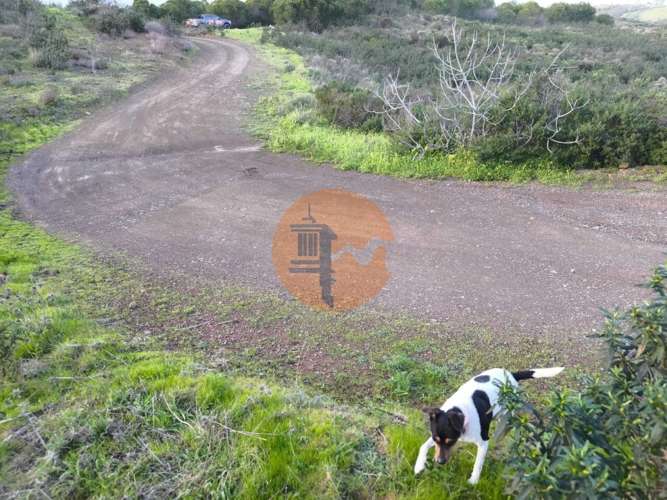 Terreno para Venda em Azinhal Foto 31