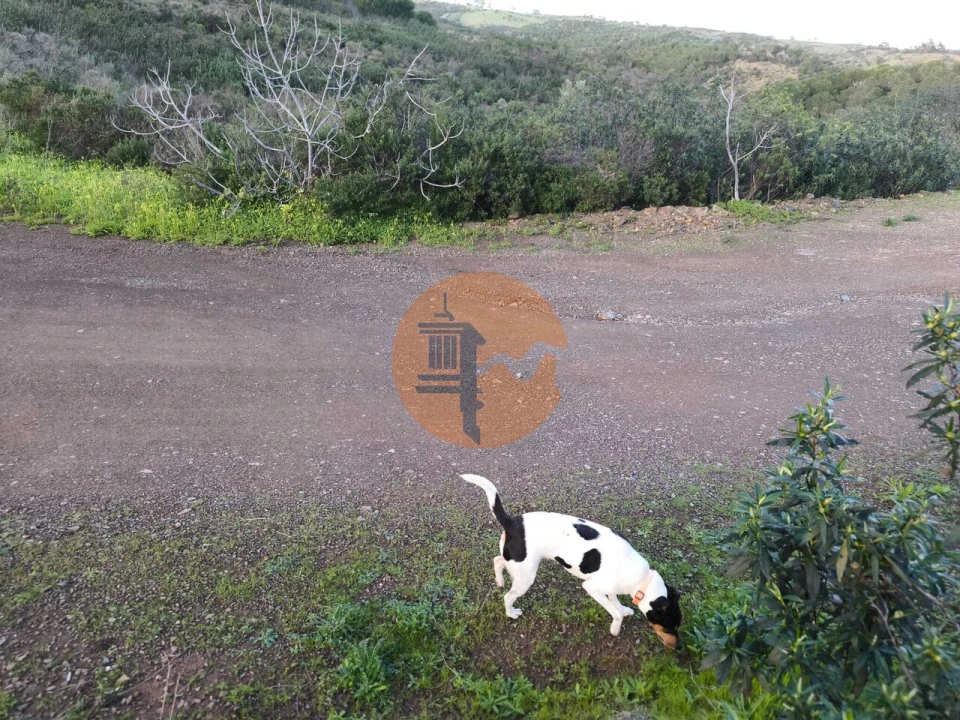 Terreno para Venda em Azinhal Foto 32